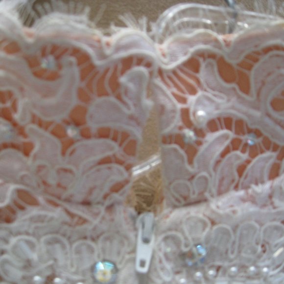 Michael Casey Ivory/Blush Alencon Lace Column Sheath Gown Long Dress Bridal Sz 6 - Picture 16 of 16